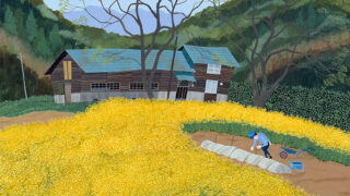 original-38-320x180.jpeg